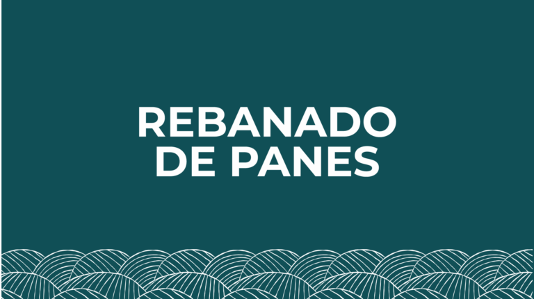 Pan artesanal recién horneado - presupuesto micropanadería